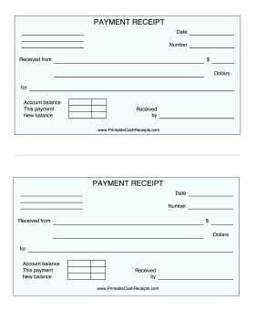 Blue Payment Receipt cash receipt