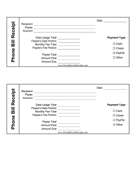 Portion Of Phone Bill Receipt cash receipt